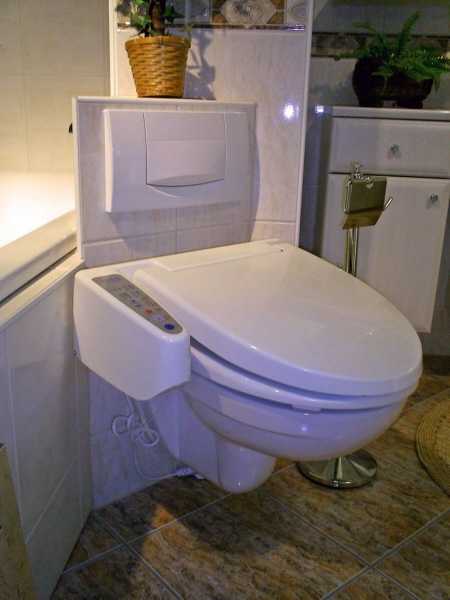 Dusch WC Aufsatz Bidet Toilette Intimdusche Bidetaufsatz Kaltwasser Sprühgerät$ 
